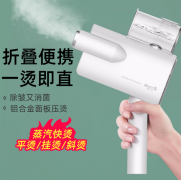 德?tīng)柆斒殖质綊鞝C機(jī)家用便攜式小型熨燙機(jī) 福利禮品 活動(dòng)禮品